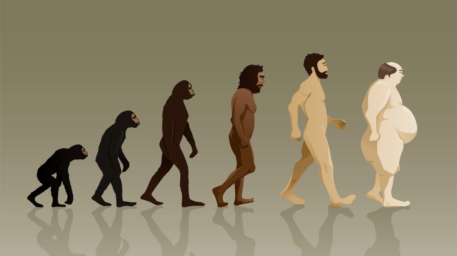 Alimentación desde la PNI